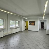 Lokal na wynajem