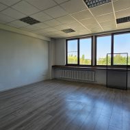 Lokal na wynajem