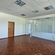 Lokal na wynajem