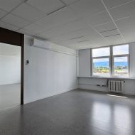 Lokal na wynajem