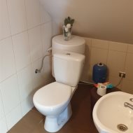 Lokal na wynajem